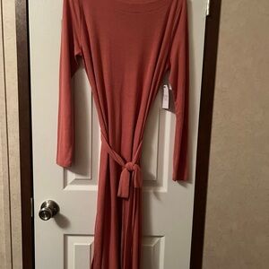 Time and Tru Long Sleeve Dress in Warm Rust